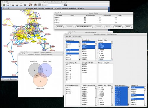 Screenshot of ternary diagram and details